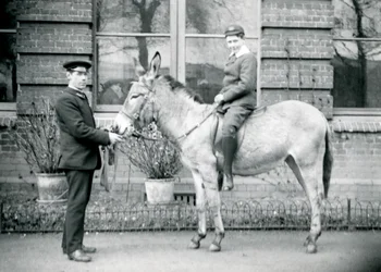 Een verzorger leidt een ezel, bereden door een jongen, London Zoo, juni 1913